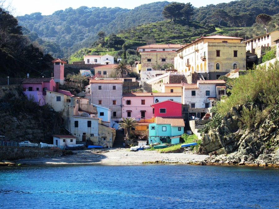 Giglio Elba o Giannutri e Giglio da Castiglione