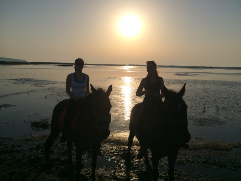 Passeggiata a Cavallo Laguna e Parrina