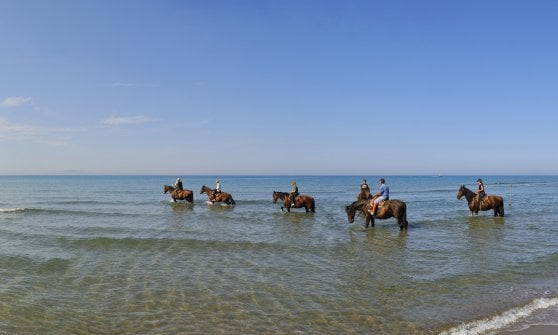 Passeggiata a Cavallo Laguna e Parrina