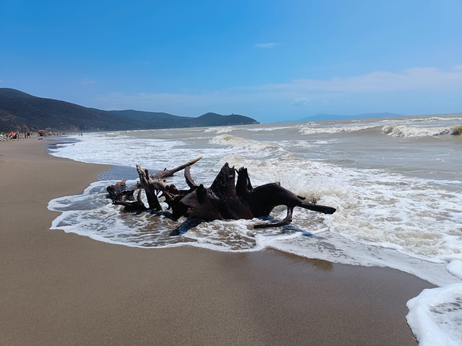 Pedalata in Maremma Con o Senza Guida Ambientale