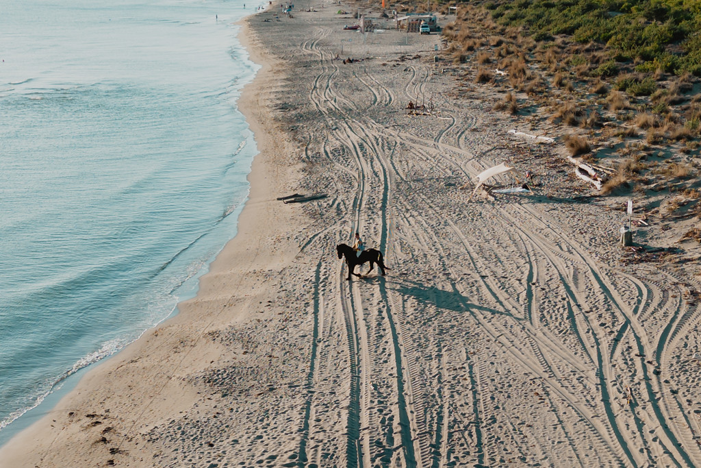 A Cavallo Pineta Dune e Spiaggia