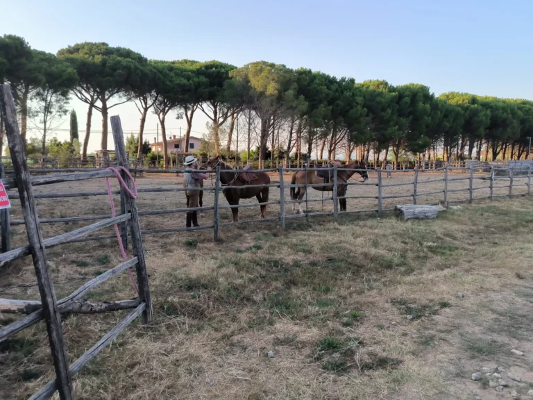 A Cavallo Pineta Dune e Spiaggia