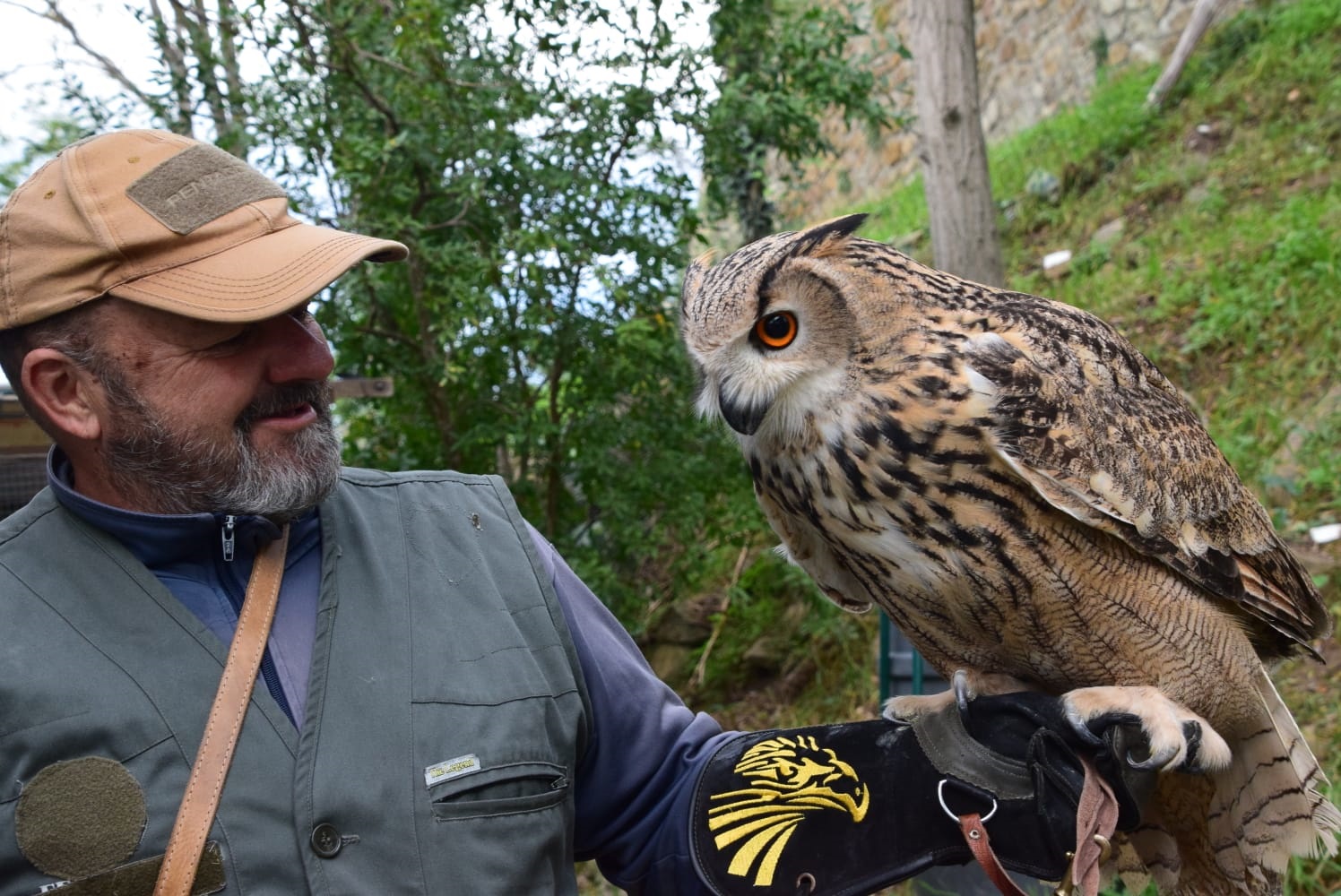 Falconiere per un giorno