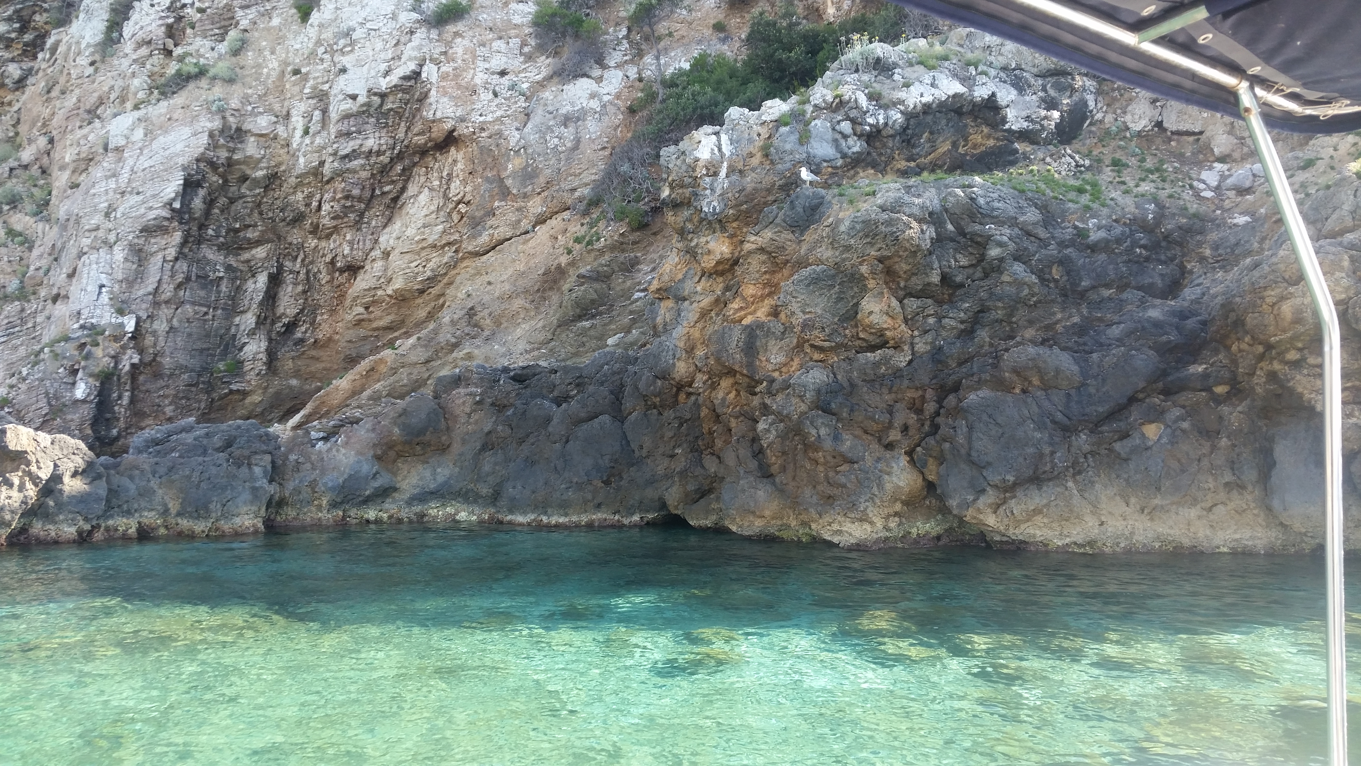 Speciale Giglio in Gommone con Nello