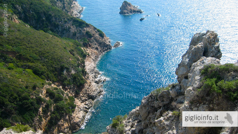 Speciale Giglio in Gommone con Nello