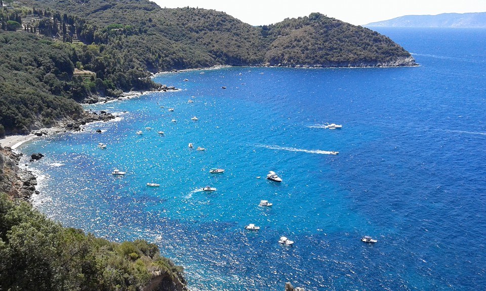 Caccia ai Tesori del Mare in Gommone